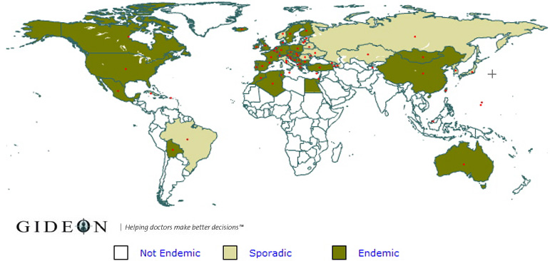 AbledHealth-Lyme-Disease-Gideon-World-Map-771x366