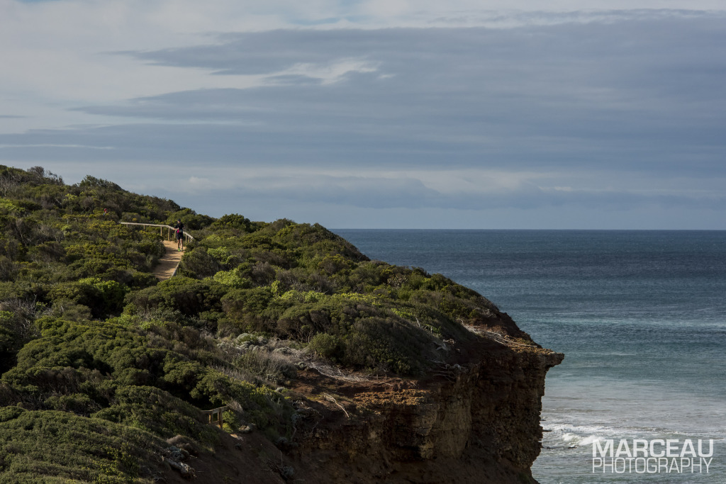 Surf Coast Trail Marathon 2015