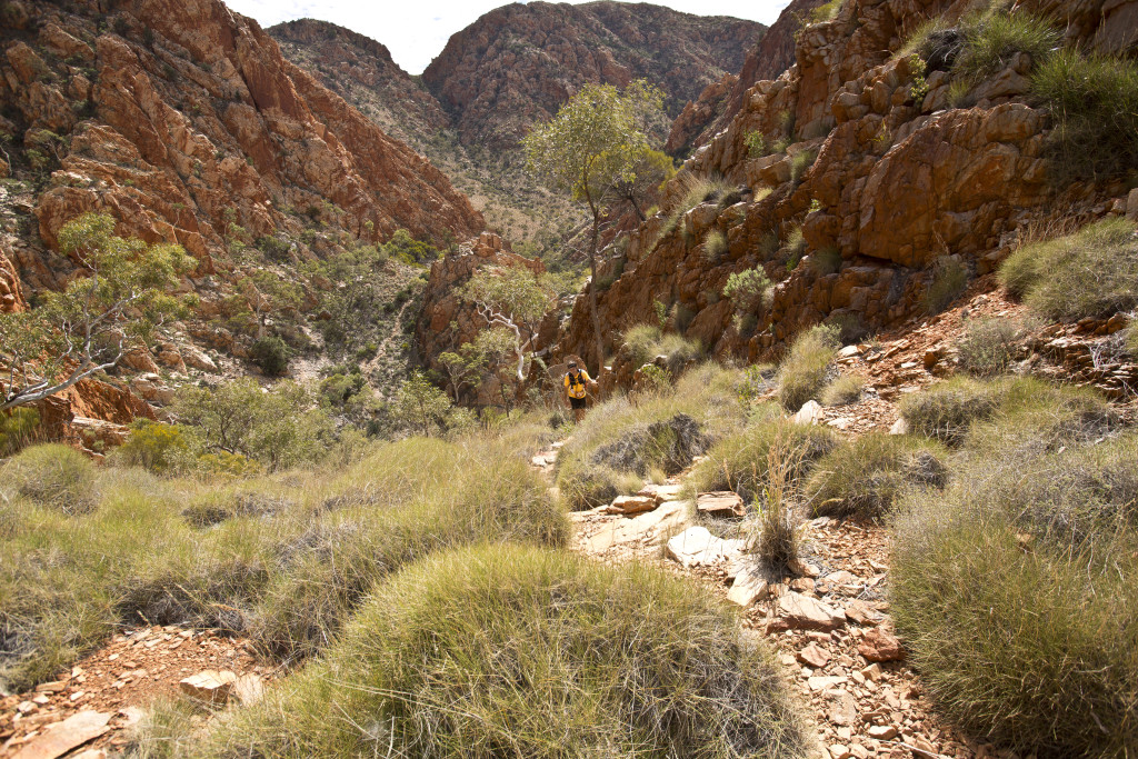 Simpsons Gap to Standley Chasm 13 08 2016_28