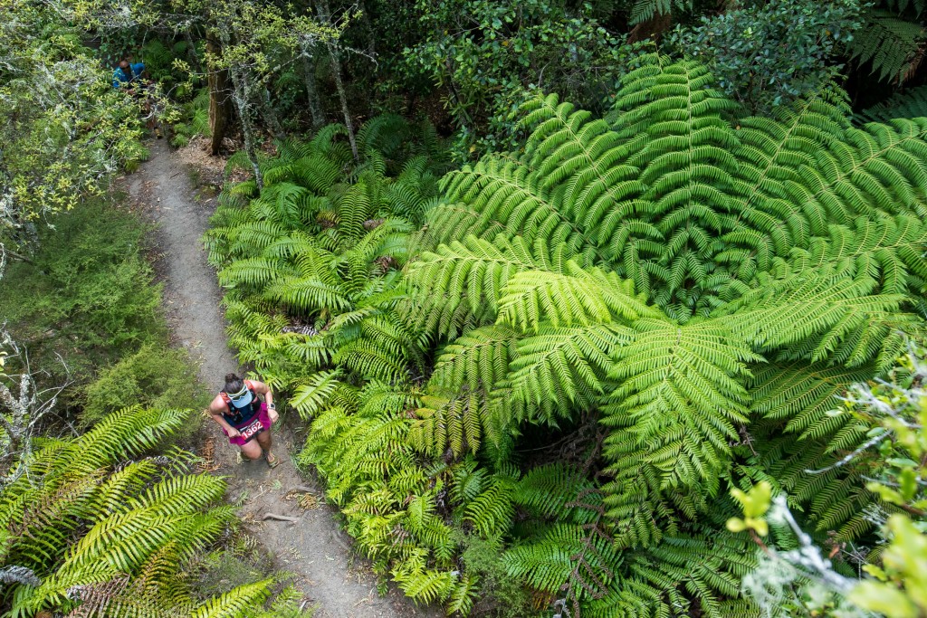 2017 Tarawera Ultra Marathon