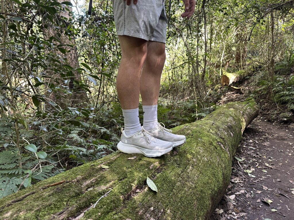 The North Face Altamesa 500 trail running shoe