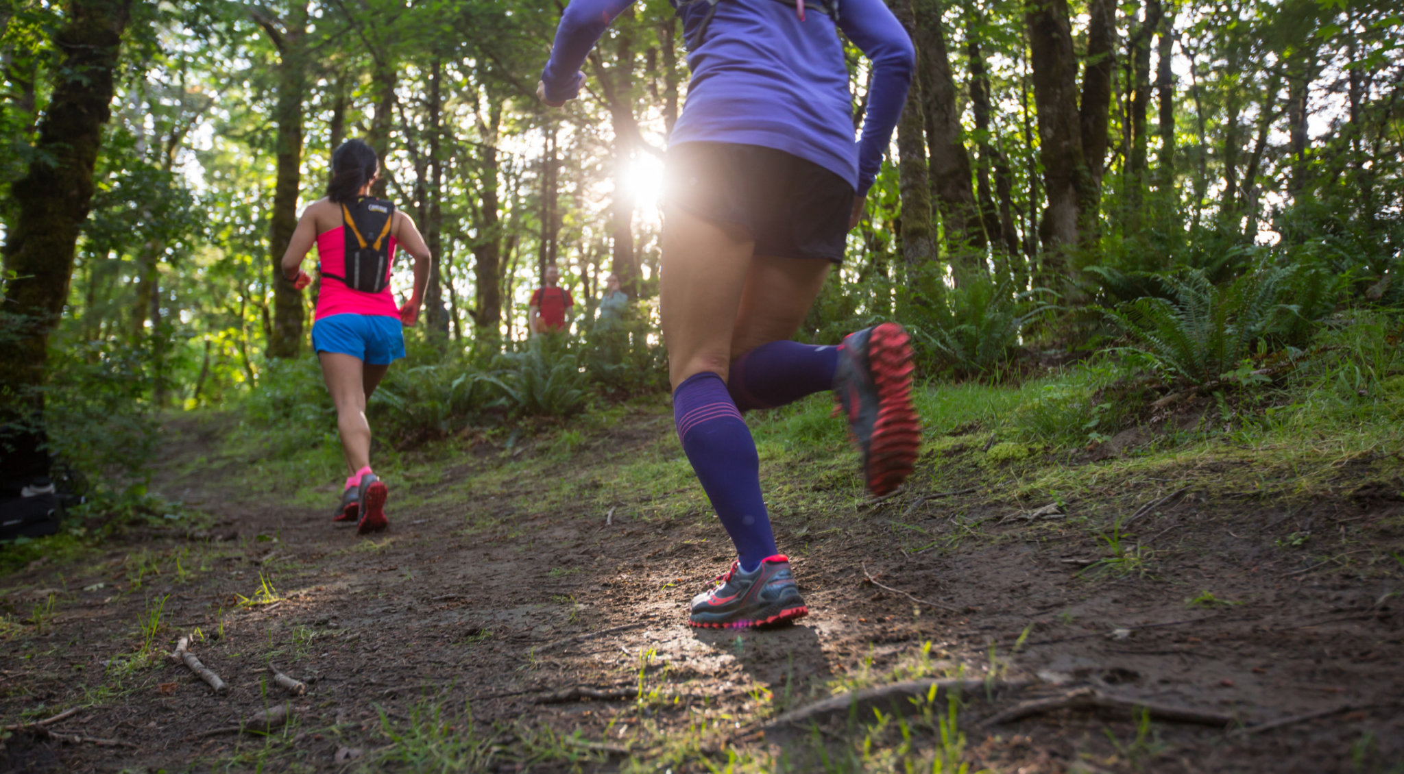 Trail runners racing along a forest trail in morning sunlight.